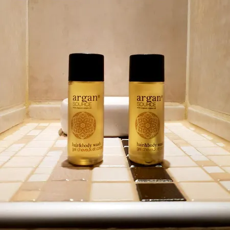 Appartement Gare - Polygone Scientifique - Palais De Justice